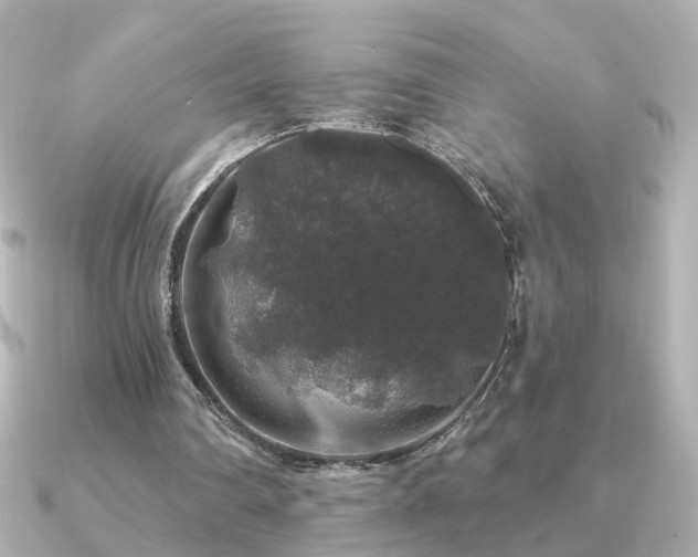 X0000091330290200708101431