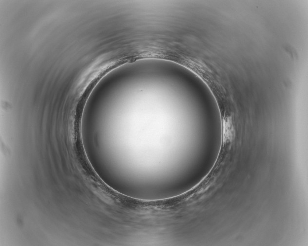 X0000091330291200708101431