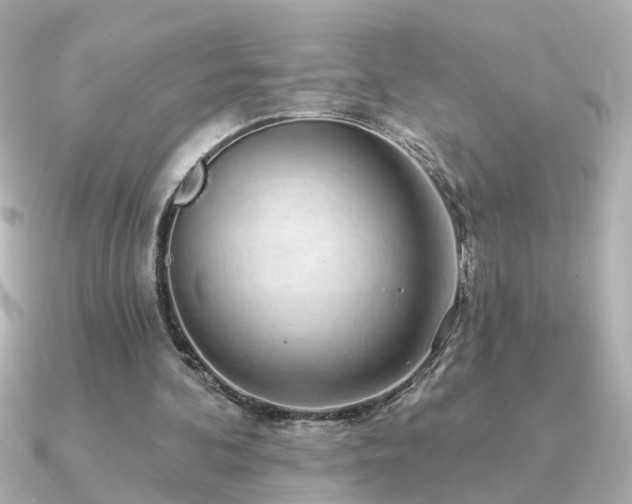 X0000091330292200708101431