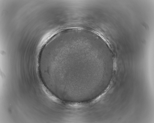 X0000091330293200708101431