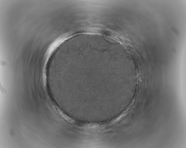 X0000091330294200708101431