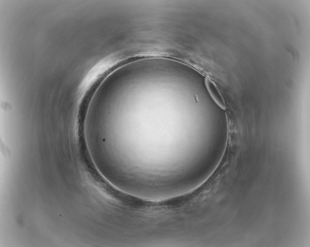 X0000091330296200708101431