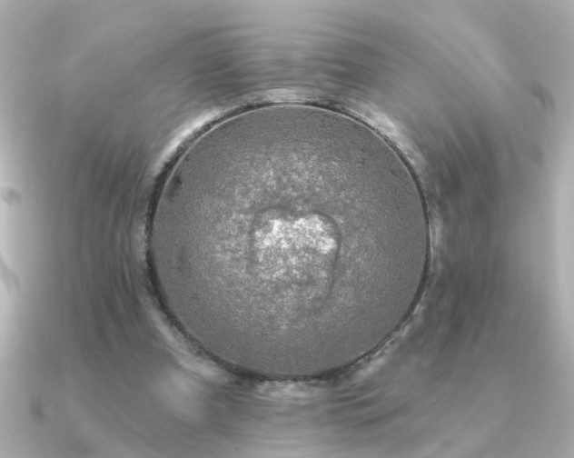 X0000091330297200708101431