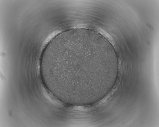 X0000091330298200708101430