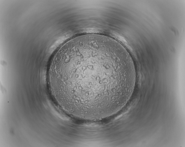 X0000091330299200708101430