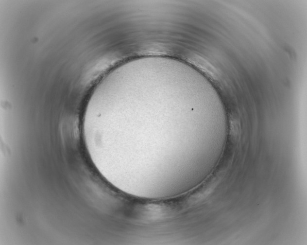 X0000091330302200708101430