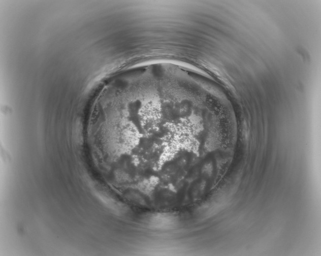 X0000091330303200708101430