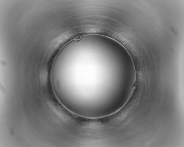 X0000091330304200708101430