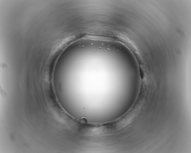 X0000091330306200708101430