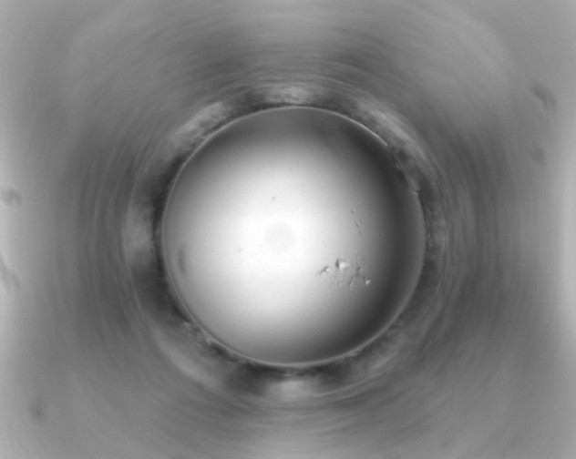 X0000091330312200708101430