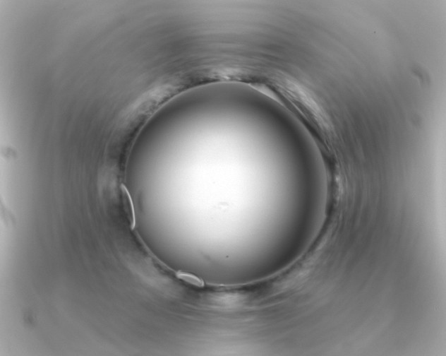 X0000091330313200708101430