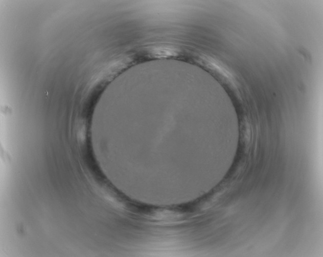 X0000091330315200708101430