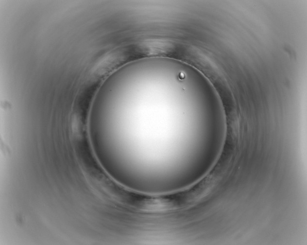 X0000091330316200708101430