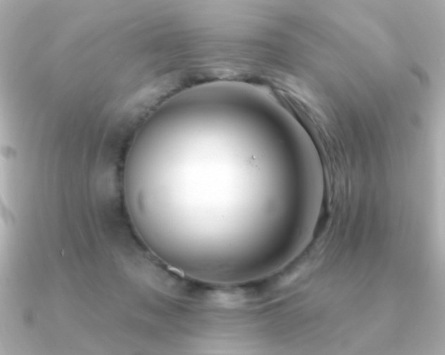 X0000091330317200708101430