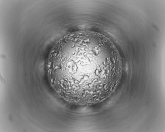 X0000091330319200708101430