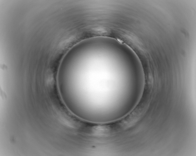 X0000091330320200708101430