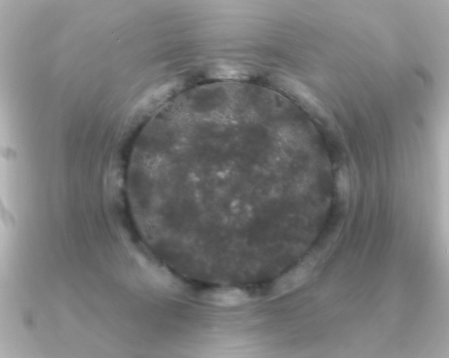 X0000091330322200708101430