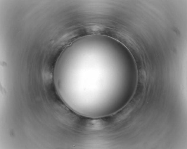 X0000091330324200708101430