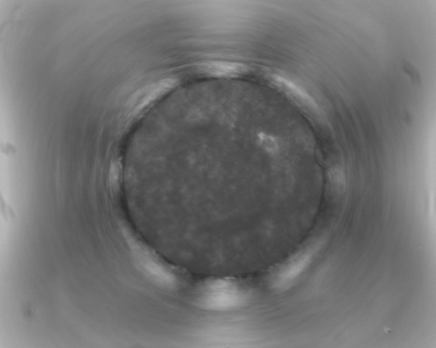 X0000091330325200708101430