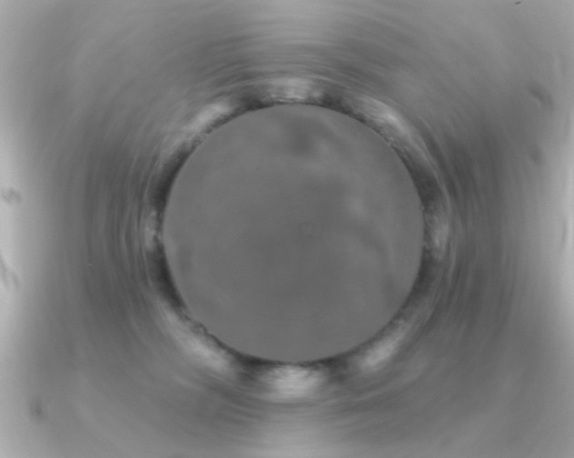 X0000091330326200708101430