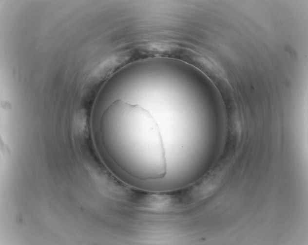 X0000091330328200708101430