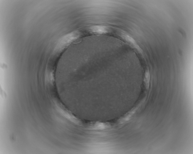 X0000091330330200708101430