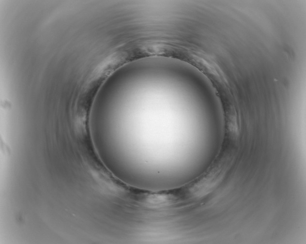 X0000091330332200708101430