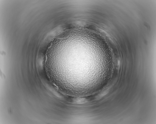 X0000091330334200708101430