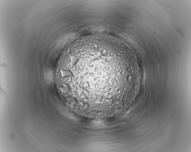 X0000091330335200708101430