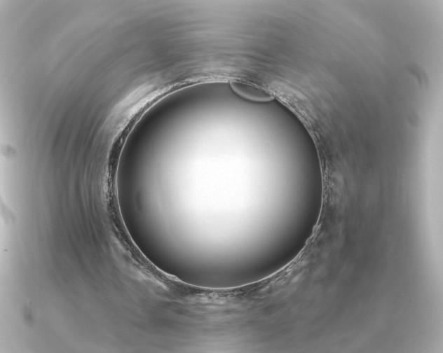 X0000091330338200708101430