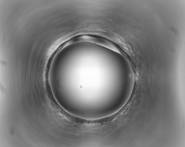 X0000091330340200708101430