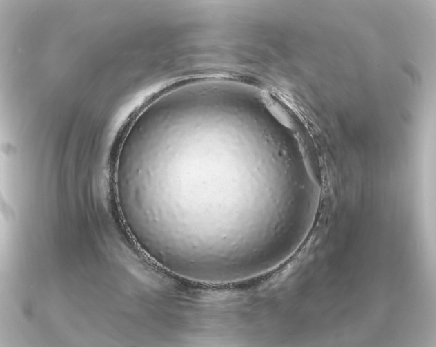 X0000091330342200708101430