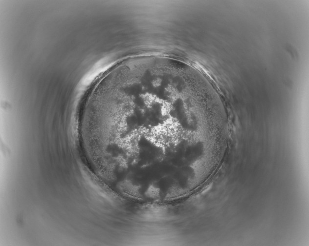 X0000091330343200708101430