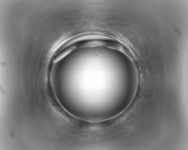 X0000091330344200708101430