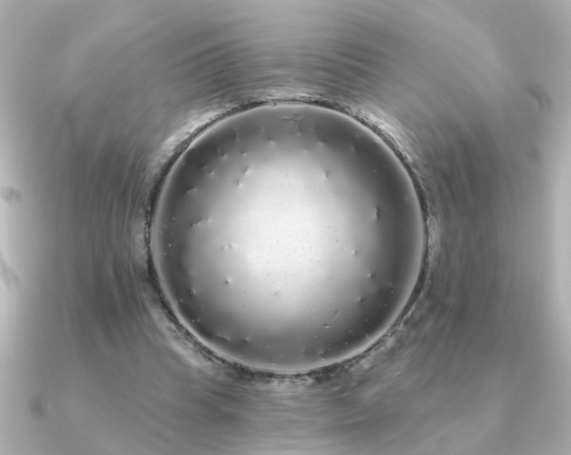 X0000091330345200708101430