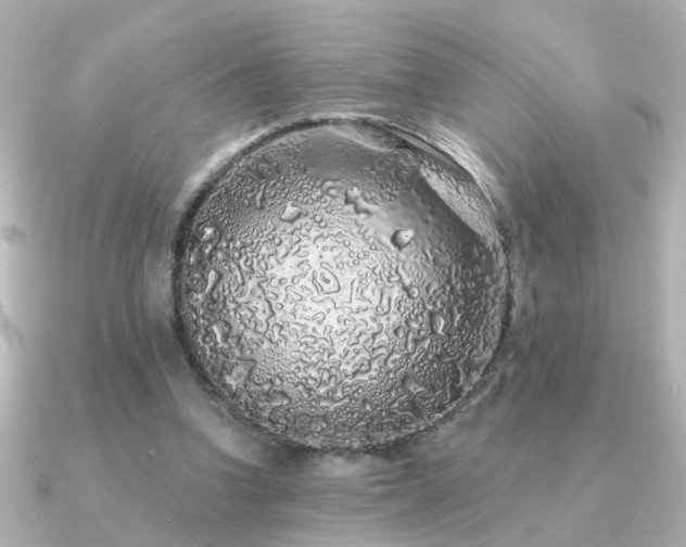 X0000091330346200708101430