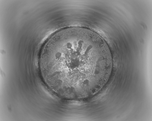 X0000091330347200708101430