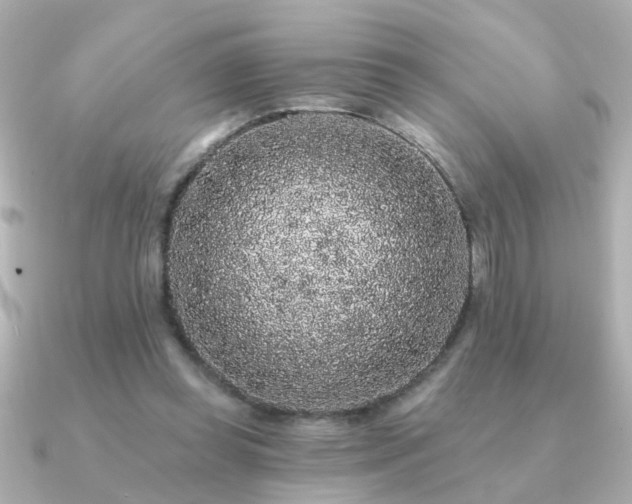 X0000091330349200708101430