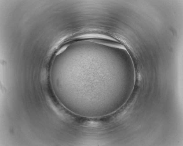 X0000091330352200708101430