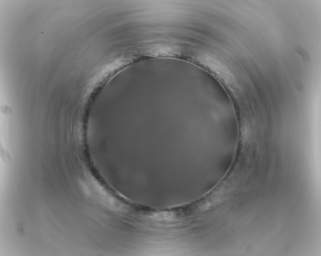 X0000091330353200708101430