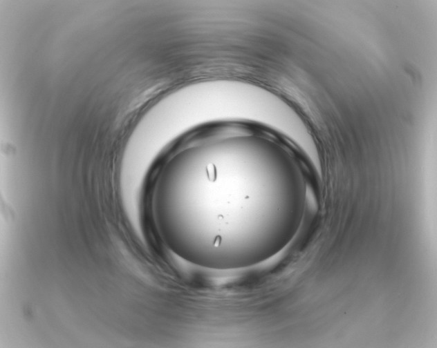 X0000091330356200708101430