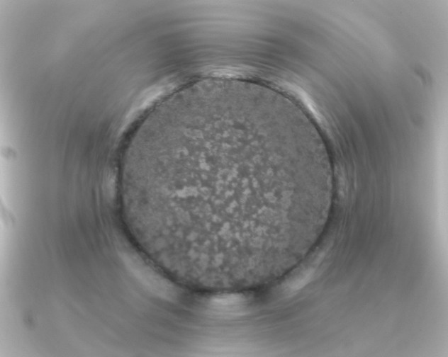 X0000091330357200708101430