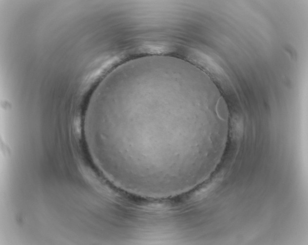 X0000091330358200708101430