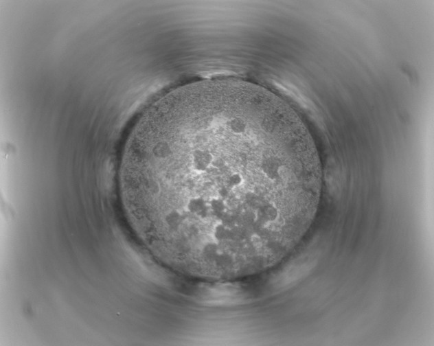 X0000091330359200708101430