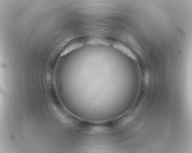 X0000091330360200708101430