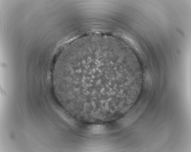 X0000091330361200708101430