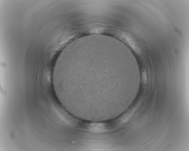 X0000091330363200708101430