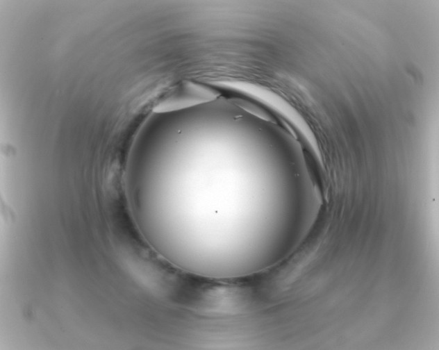 X0000091330364200708101430