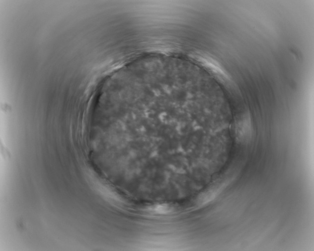 X0000091330365200708101430