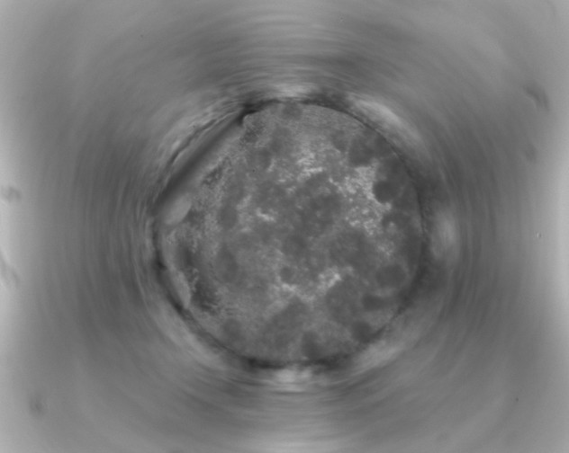 X0000091330366200708101430